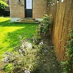 Hydrangea Arras Daire *