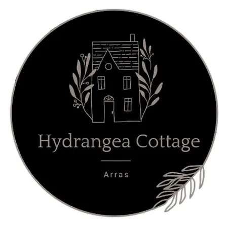 Hydrangea Arras * Saint-Laurent-Blangy