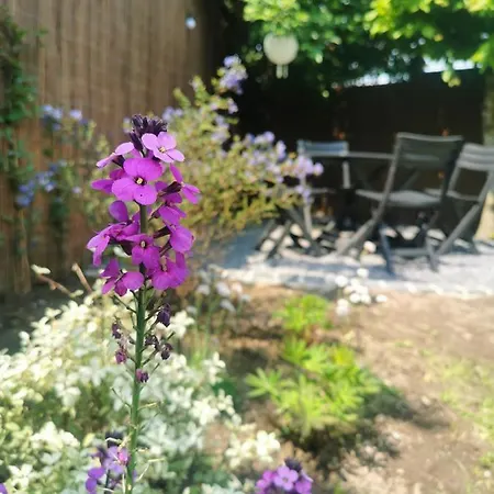 Hydrangea Arras Διαμέρισμα *